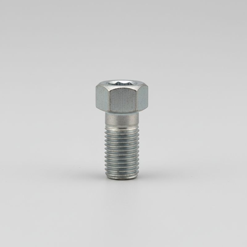GI / MS Hexagon Socket Head Cap Bolt