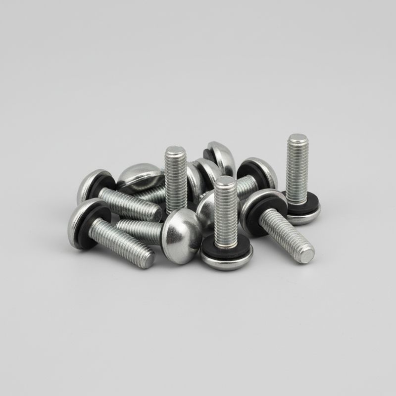Stainless Steel Roofing Bolts