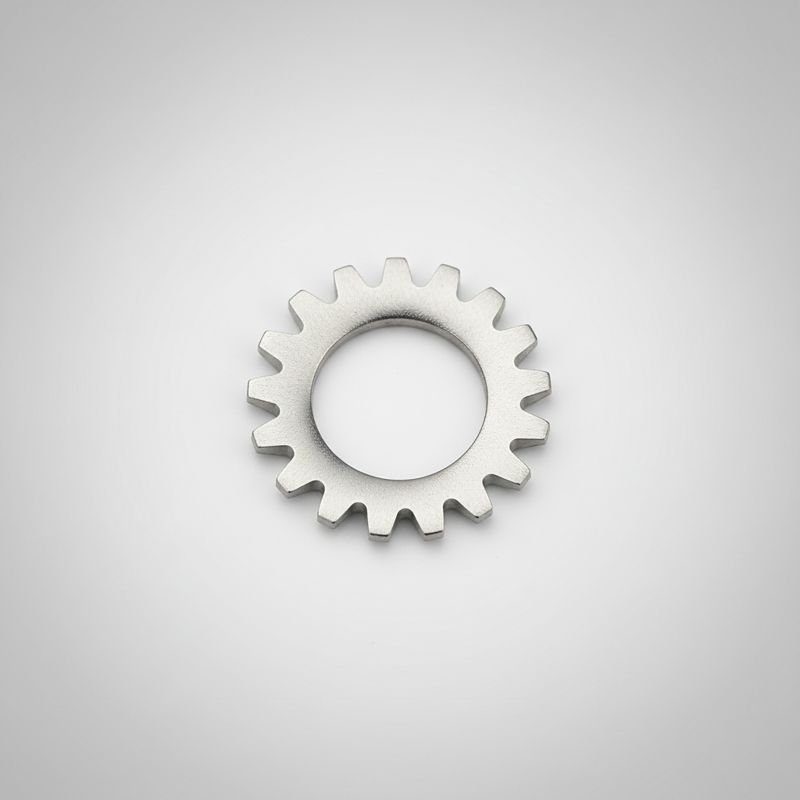 Stainless Steel Serrated External Teeth Lock Washer